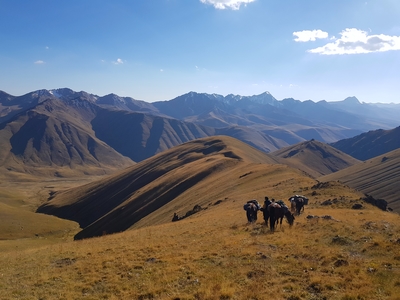 Grand trek à cheval, 18 jours